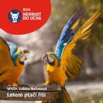 Obrázek epizody #24 Letem ptačí říší 🦜🐦 - MVDr. Lubica Nečasová. Podcast o chovu papoušků a exotického ptactva.