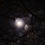 Obrázek epizody Vstaňte, nebojte se! (2. postní neděle, Skalná)