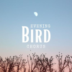 Obrázek epizody Evening Bird Chorus: Relaxing Soundscape