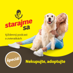 Obrázek epizody Psy: Nekupujte, adoptujte