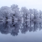Obrázek epizody Winter at the River | Falling Snow & River Sounds