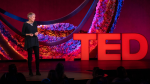 Obrázek epizody The radical potential of self-evolving robots | Emma Hart