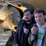 Obrázek epizody Ep.14 - Kormoránův apetit