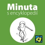 Obrázek epizody Rychlobruslení