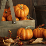 Obrázek epizody HOROSKOPY: Ryby, rozum a cit jsou to, co se ve vás sváří, a můžete se chovat proti vší logice