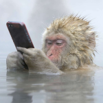 Obrázek epizody AI, AI, AI! Naturální primitiv ve světě moderní technologie a umělé inteligence