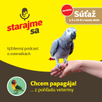 Obrázek epizody Vtáky: Chcem papagája! ... z pohľadu veteriny