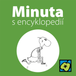 Obrázek epizody Marathonský běžec