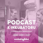 Obrázek epizody 🎙️PODCAST K INKUBÁTORU 💜 VÝVOJOVÁ PÉČE V NEONATOLOGII 🤱