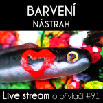 Obrázek epizody Přívlač Live #91 - Jak barvit gumové nástrahy