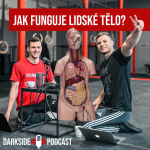 Obrázek epizody Úvod do fungování těla (CNS, neurotransmitery, hormony, mikrobiom, cirkadiánní rytmus) I COACHES TALK #6