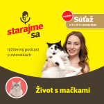 Obrázek epizody Mačky: Život s mačkami
