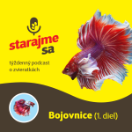 Obrázek epizody Akvaristika: Bojovnice 1.diel