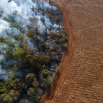 Obrázek epizody Revisited: How to save the Amazon episode one: the stakes