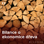 Obrázek epizody Dřevo je české zlato, ale neumíme ho dobře vytěžit