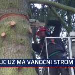 Obrázek epizody První vánoční strom