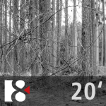 Obrázek epizody Algoritmus života | Ve 20 minutách