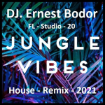 Obrázek epizody DJ. Ernest Bodor - FL Jungle Vibes House Remix 2021