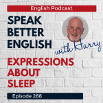 Obrázek epizody Speak Better English with Harry | Episode 288