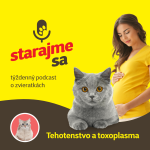 Obrázek epizody Mačky: Tehotenstvo a toxoplasma
