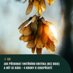 Obrázek epizody #60 Jak překonat VNITŘNÍHO KRITIKA (bez boje) a mít se rádi – 4 kroky k sebepřijetí