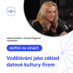 Obrázek epizody 20: Vzdělávání jako základ datové kultury firem