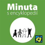 Obrázek epizody Mexická vlna