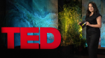 Obrázek epizody The problem with plastics -- and how they're changing the environment | Patricia Villarrubia-Gómez