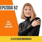 Obrázek epizody #52 Stavím komunikační mosty