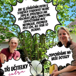 Obrázek epizody tři učitelky EXTRA #9 [upoutávka]