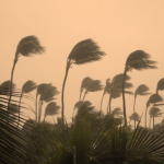 Obrázek epizody Tropical Storm: Heavy Rain and Wind Sounds