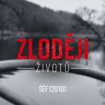 Obrázek epizody ŠÉF: Vrah s ocelově šedýma očima oběť rozřezal. Tělo vydávala Berounka po částech