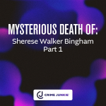 Obrázek epizody MYSTERIOUS DEATH OF: Sherese Walker Bingham Part 1
