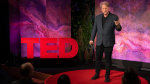 Obrázek epizody The surprising psychology behind your urge to break the rules | Paul Bloom