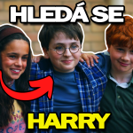Obrázek epizody Hledá se Harry - Rozbor a reakce na dokument