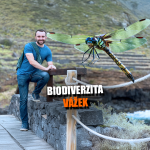 Obrázek epizody Jak měníme biodiverzitu a co nám říkají vážky? | #VNP se Stanislavem Ožanou z Ostravské univerzity