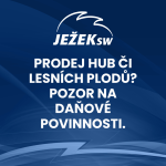 Obrázek epizody Prodej hub či lesních plodů? Pozor na daňové povinnosti.