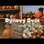Obrázek epizody ASMR A Day at Pumpkin World – Cozy Autumn Vlog & Whispers (CZ)