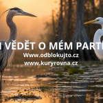 Obrázek epizody CO SI MÁM V PARTNERSTVÍ UVĚDOMIT?💞osobní rozvoj/vzory chování/ sebeláska