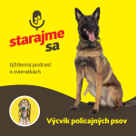 Obrázek epizody Psy: výcvik policajných psov