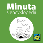 Obrázek epizody Titanik