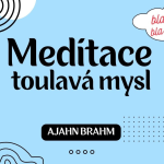Obrázek epizody Meditace - jak na toulavou mysl🧘| Ajahn Brahm | 15.11.2014