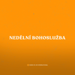 Obrázek epizody NAVZDORY UTRPENÍ / Janette Oubrechtová