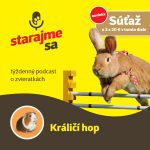Obrázek epizody Drobné cicavce: Králičí hop