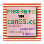 Obrázek epizody 刷粉网：千川播放量如何帮助抖音视频打破流量瓶颈？