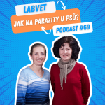 Obrázek epizody 🐾 Alopecie: lysivost u psů 🐾| Labvet Podcast #69