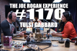 Obrázek epizody #1170 - Tulsi Gabbard