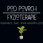 Obrázek epizody Epizoda 2: Sed - křivé obvinění (2/2)