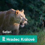 Obrázek epizody Jaro v Dětské zoo dvorského safari parku. Zvířata tam můžete nejen pohladit, ale dokonce i nakrmit