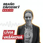 Obrázek epizody Vašáková: Mestá a obce by mali byť lepšie pripravené na čerpanie financií z Plánu obnovy